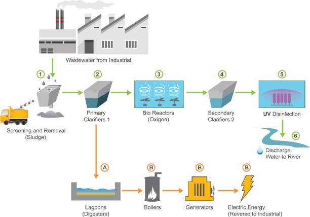 Why Proper Wet Waste Management is Vital for Our Planet